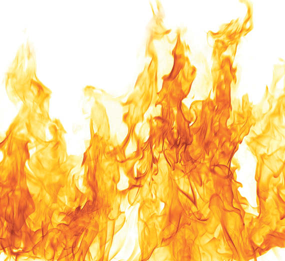 illustration of earth with trees and animals